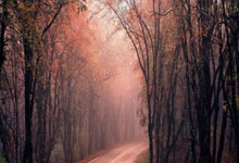 篮球公园中国篮球名人堂苗立杰.