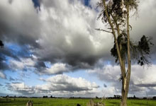 瓜帅江郎才尽？曼城空有传控却无威胁 不敌森林艰难争四.