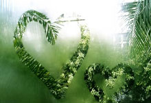 NG28官网：西甲：塞维利亚战平奥萨苏纳.