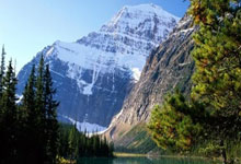 NG28官网：[天下足球]博尼费斯两球 勒沃库森轻取霍芬海姆.