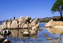 NG28官网：一句话葬送22年努力，他曾9次登上春晚，46岁人设崩塌惨遭网暴.